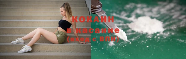 гашик Арсеньев