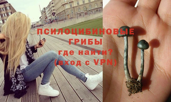 таблы Аркадак