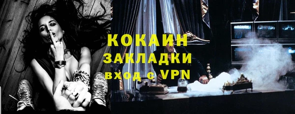 гашик Арсеньев
