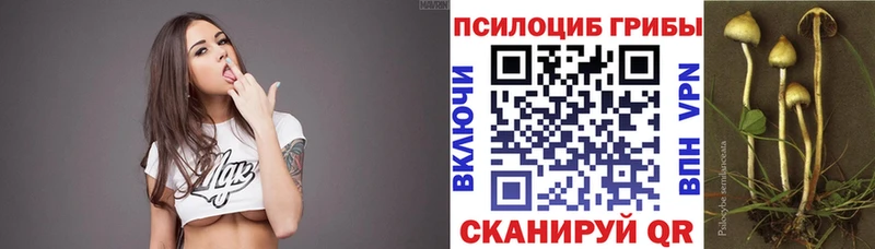 blacksprut ONION  сколько стоит  сайты даркнета какой сайт  Галлюциногенные грибы Magic Shrooms  Рузаевка 